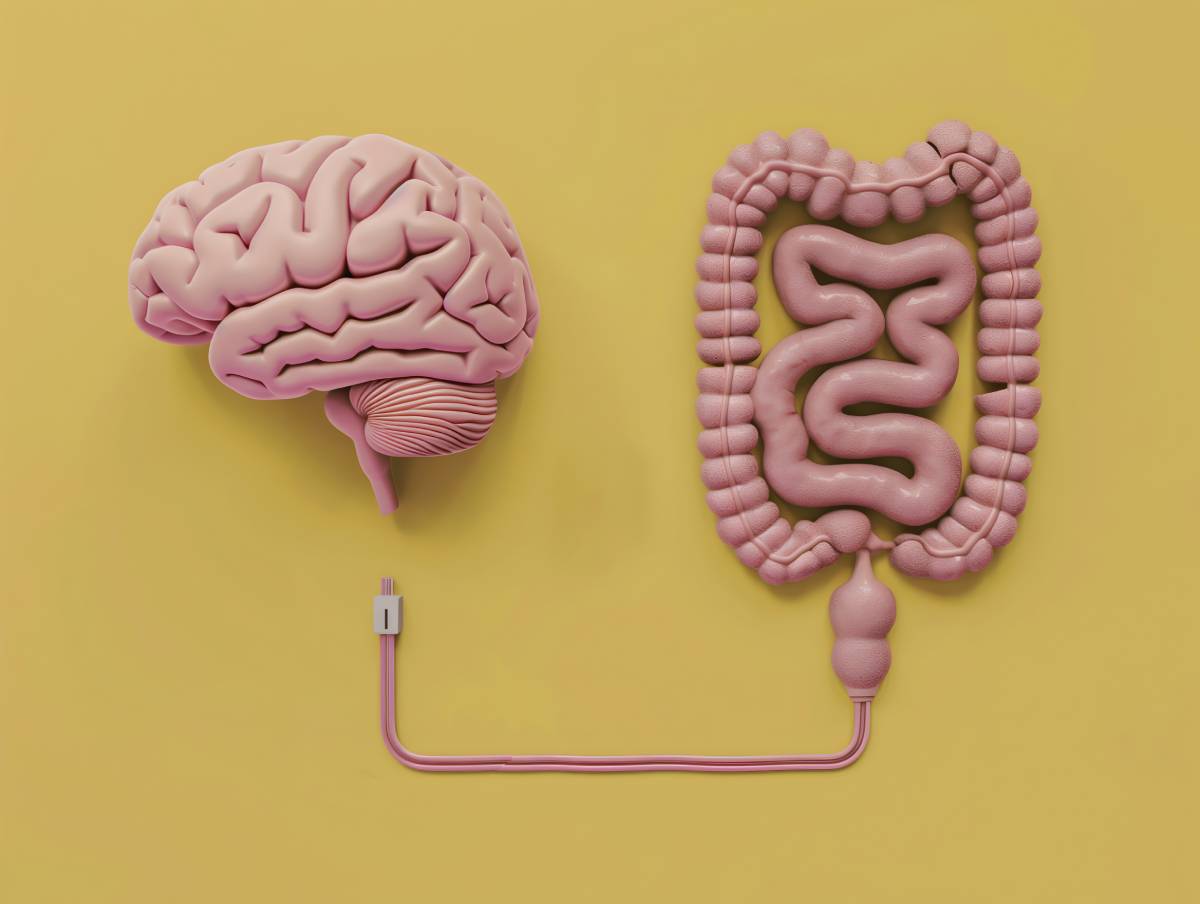 The Gut-Brain Connection: Are Gut and Mental Health Related?